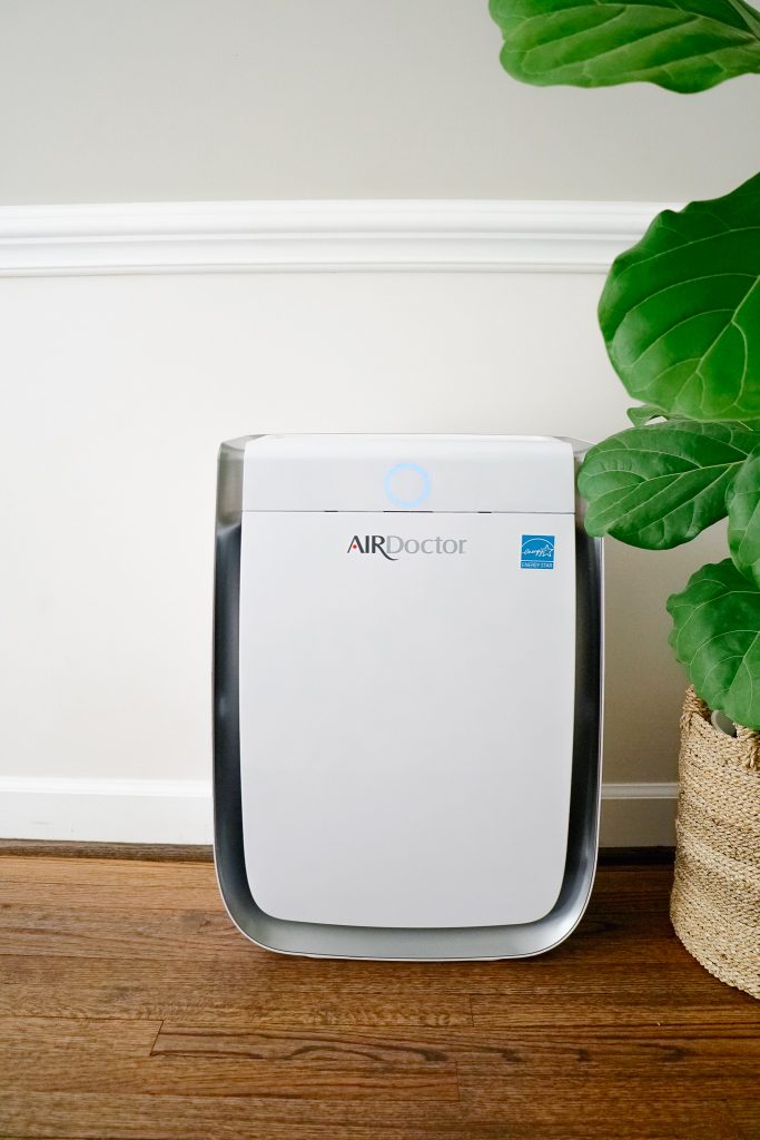 AirDoctor air purifier next to plant